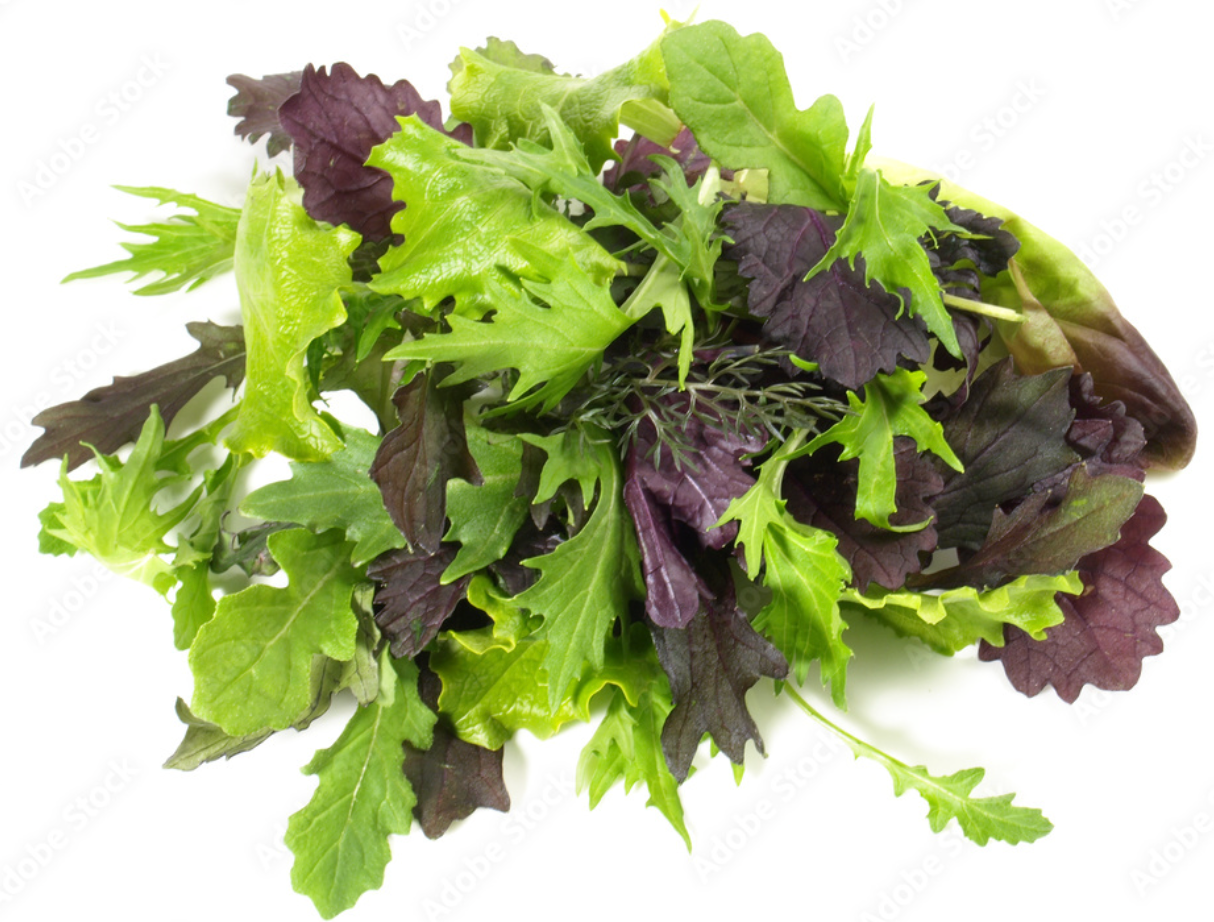 Schnittsalat - Pflücksalat - Asia Salat - vorgewaschen