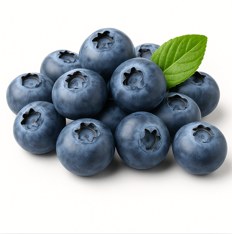 Heidelbeeren aus dem Wald