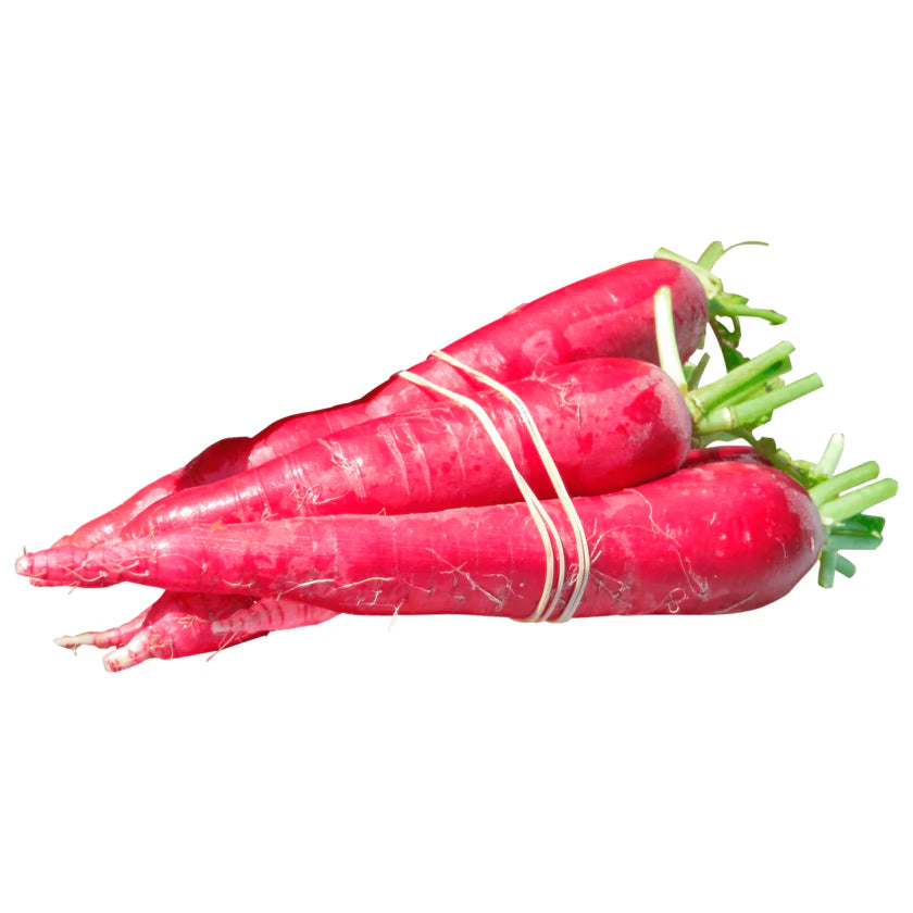 Rettich rot Bund