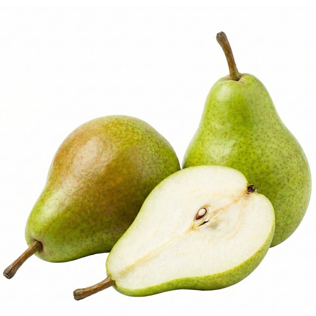 feste Birne Xenia Novembra