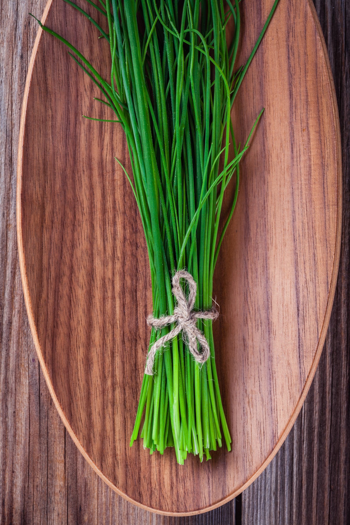 Gebundener Schnittlauch frisch