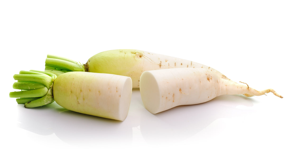 Rettich weiss