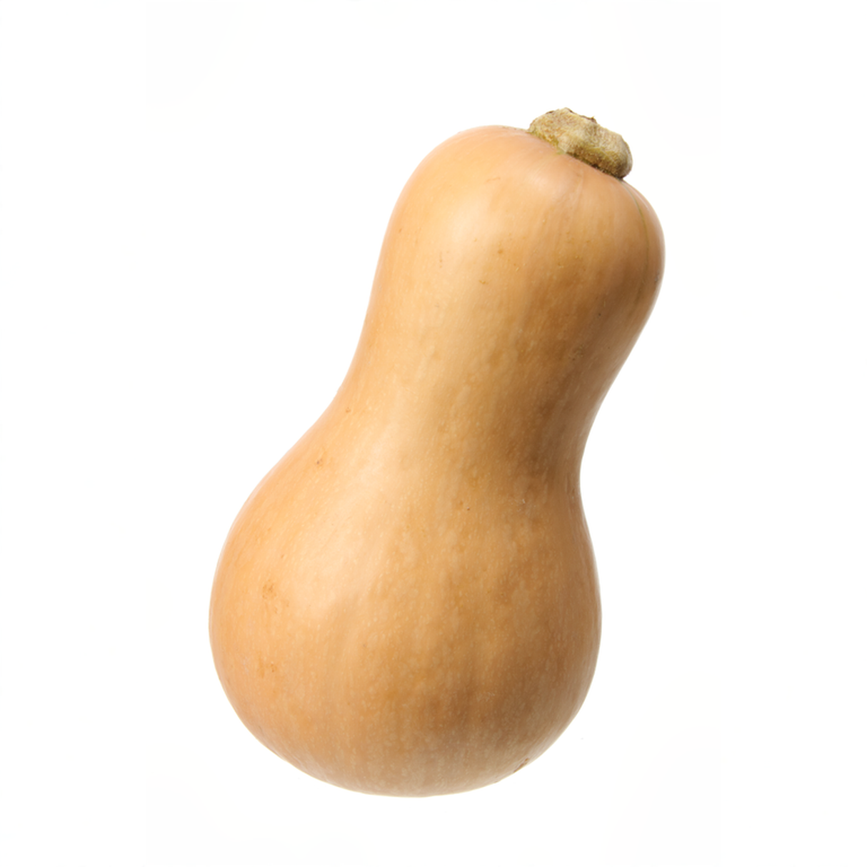 Bio Kürbis Butternut