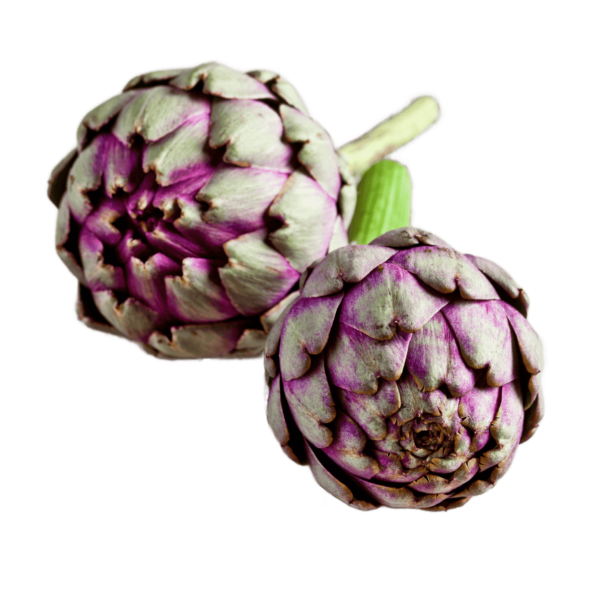 Artischocken