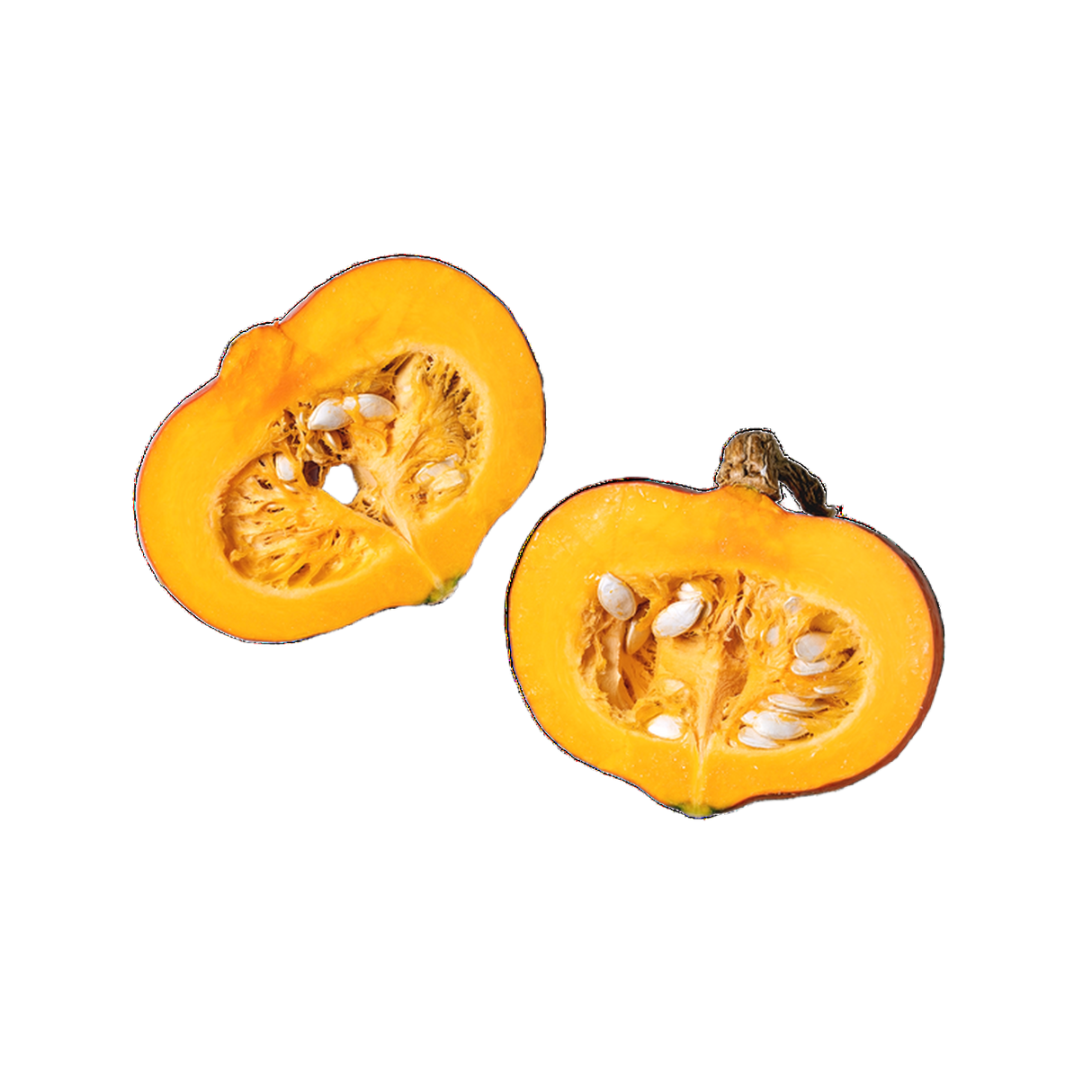 Bio Kürbis Hokkaido