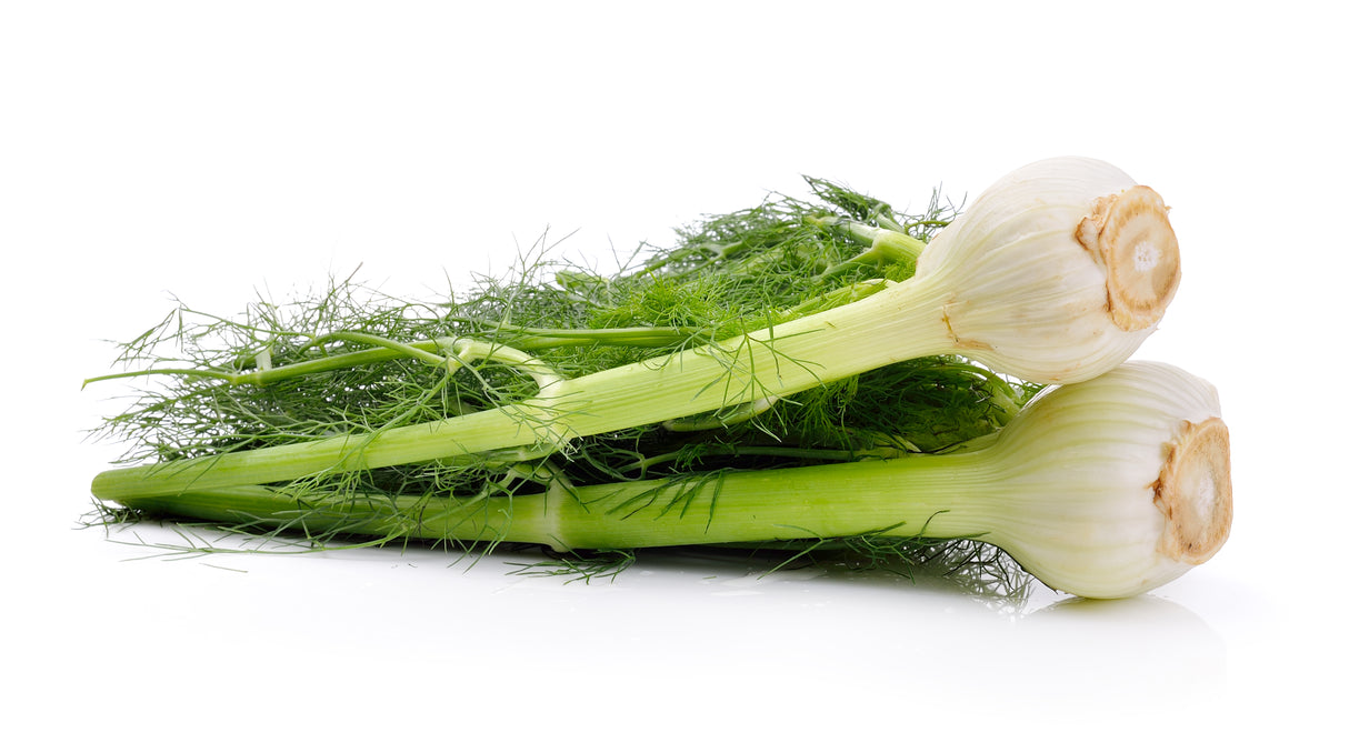 Fenchel ganz frisch grün
