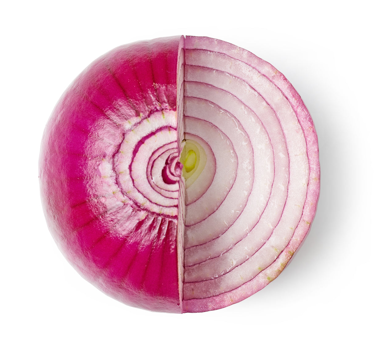 rote Zwiebel geschnitten