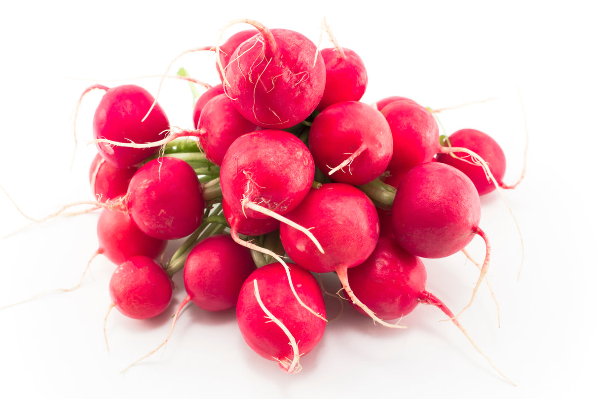 Radieschen Bund