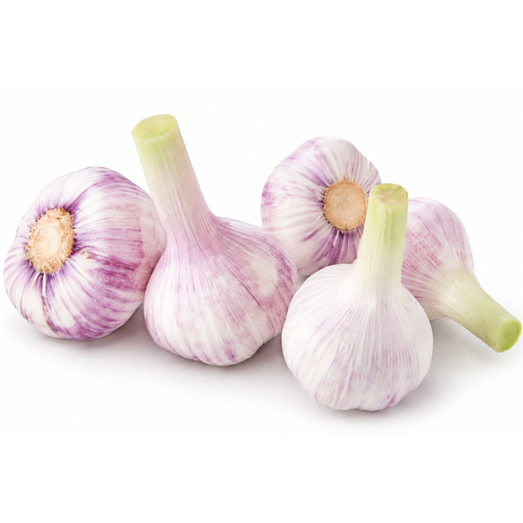 knoblauch-frischeinzigartig
