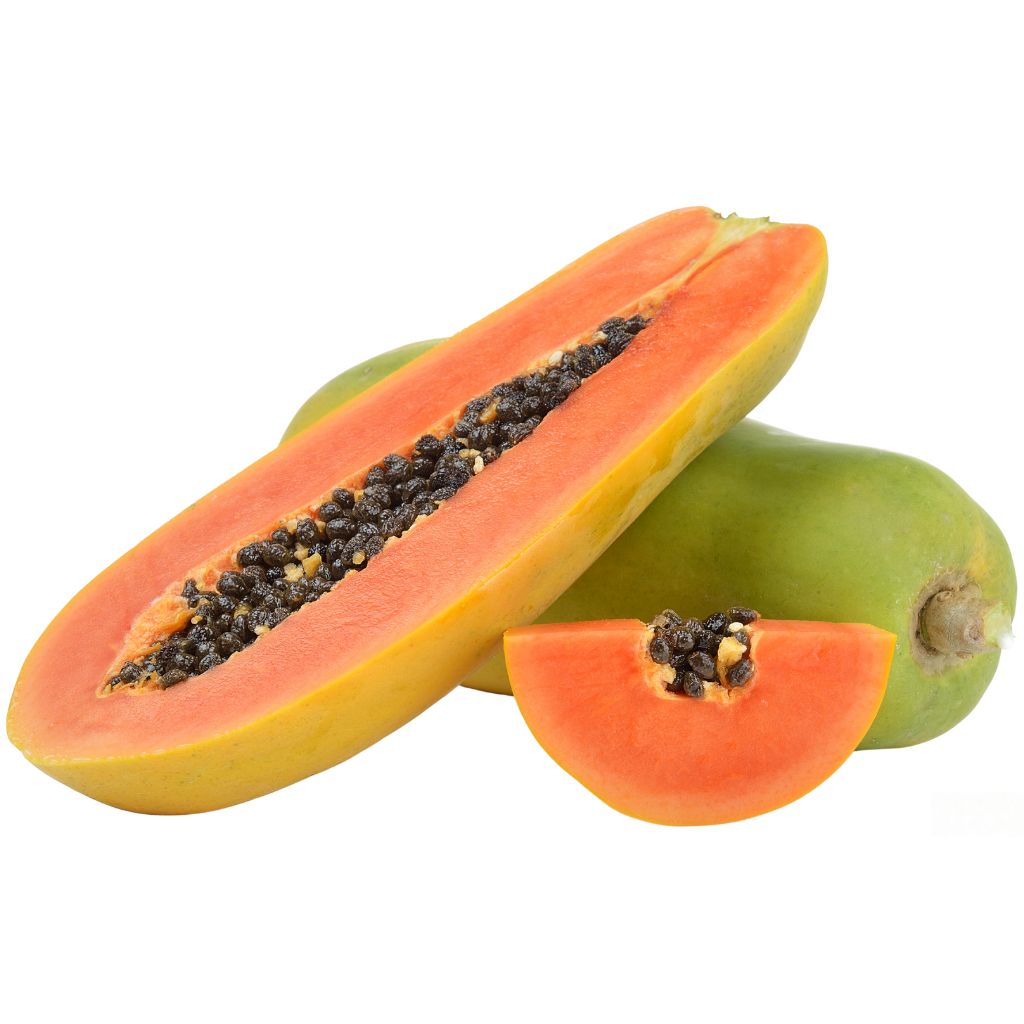 tropische Papaya Flugpapaya