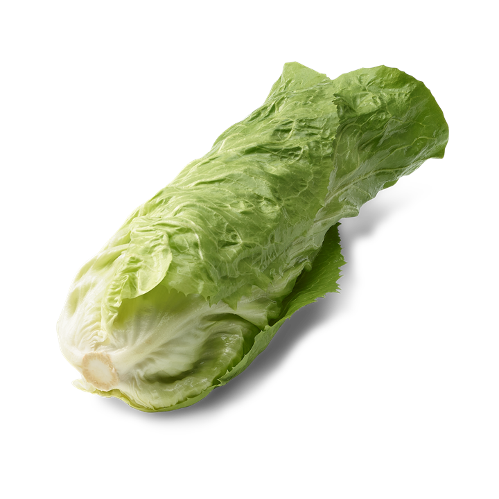 zuckerhut ein stück