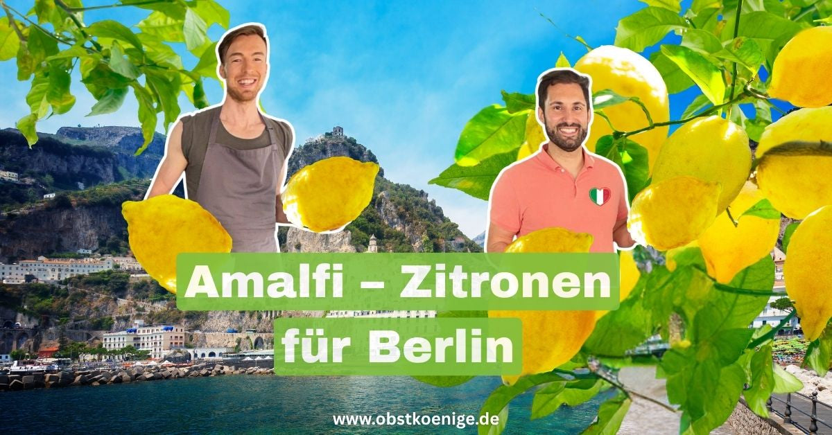 Amalfi-Zitronen für Berlin – unbehandelte Zitronen