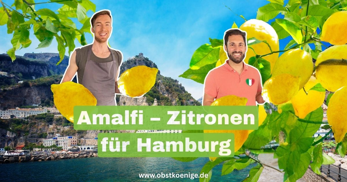 Amalfi-Zitronen für Hamburg – unbehandelte Zitronen