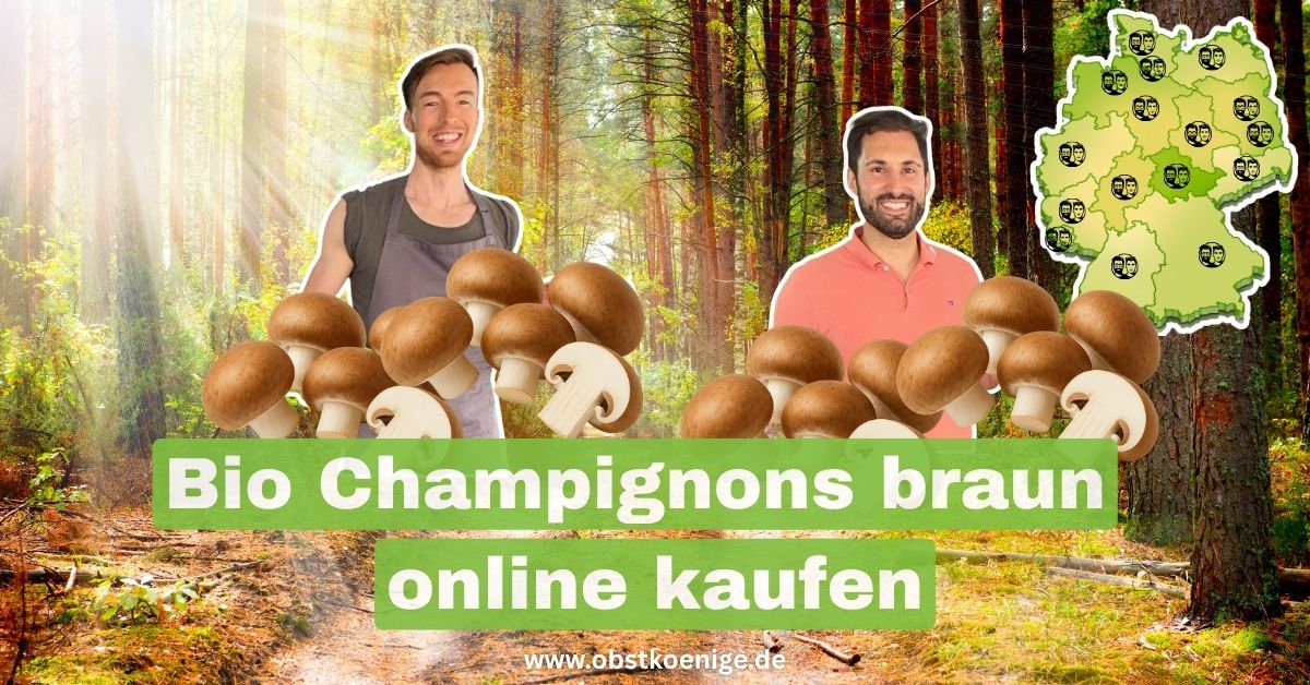 Bio Champignons braun kaufen | The Fresh Duo | Obstkönige