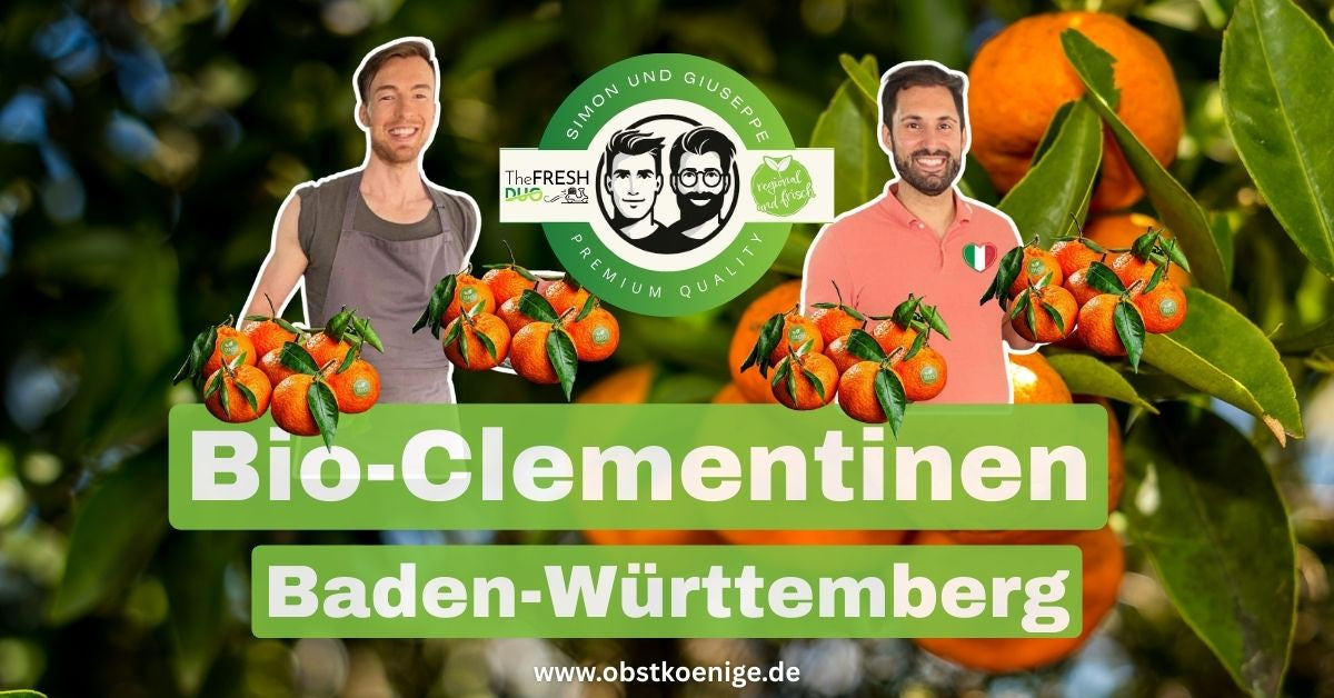 Bio-Clementinen Baden-Württemberg – frische Bio Clementinen bestellen