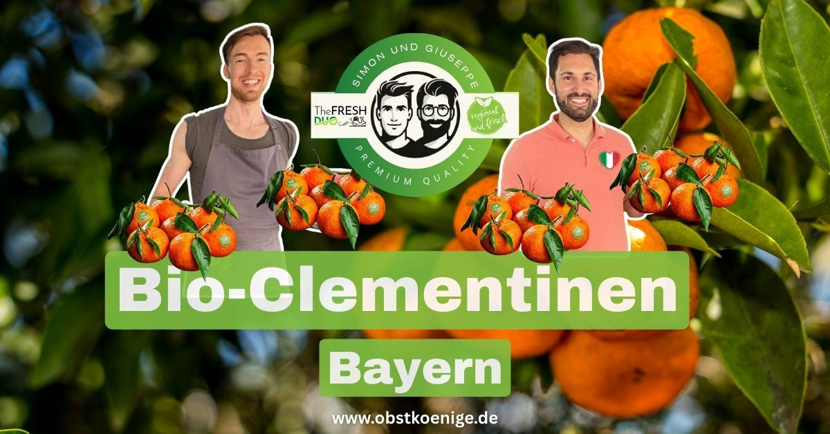 Bio-Clementinen Bayern – frische Bio Clementinen bestellen