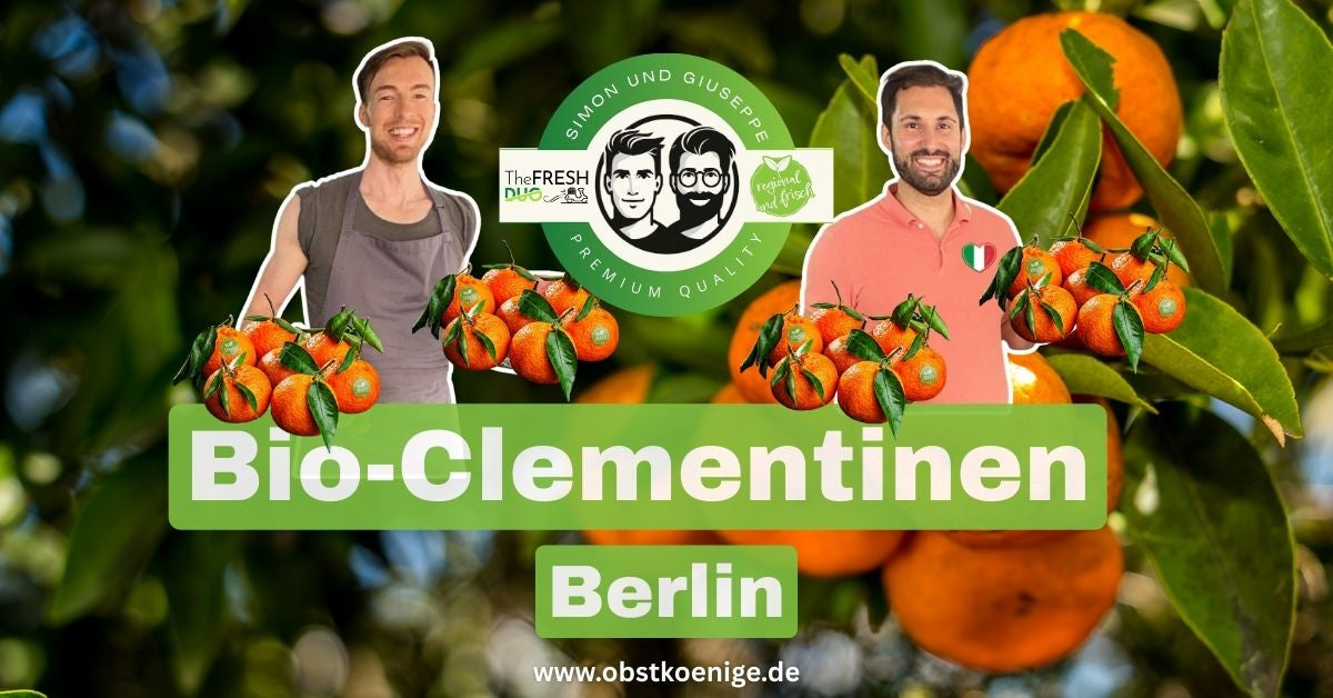 Bio-Clementinen Berlin – frische Bio Clementinen bestellen