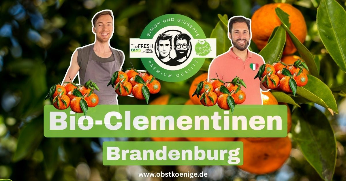 Bio-Clementinen Brandenburg – frische Bio Clementinen bestellen
