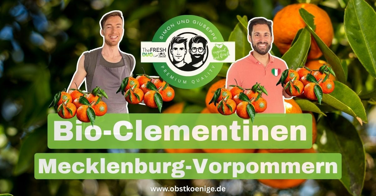Bio-Clementinen Mecklenburg-Vorpommern – frische Bio Clementinen bestellen