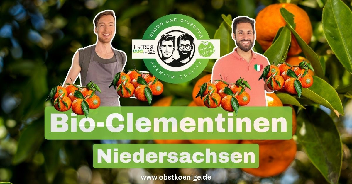 Bio-Clementinen Niedersachsen – frische Bio Clementinen bestellen