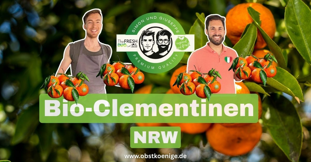 Bio-Clementinen NRW – frische Bio Clementinen bestellen