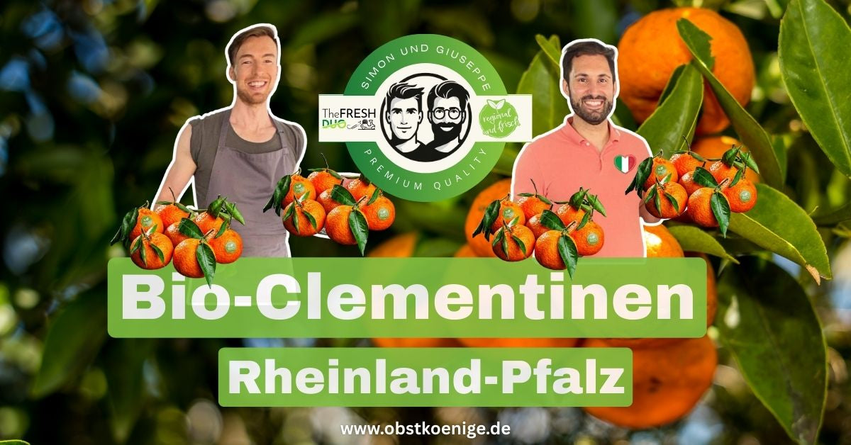 Bio-Clementinen Rheinland-Pfalz – frische Bio Clementinen bestellen