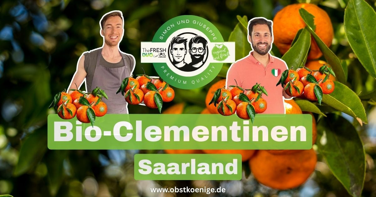 Bio-Clementinen Saarland – frische Bio Clementinen bestellen