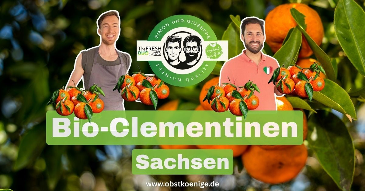 Bio-Clementinen Sachsen – frische Bio Clementinen bestellen