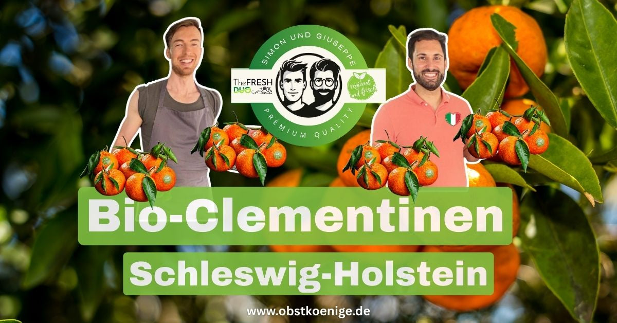 Bio-Clementinen Schleswig-Holstein – frische Bio Clementinen bestellen