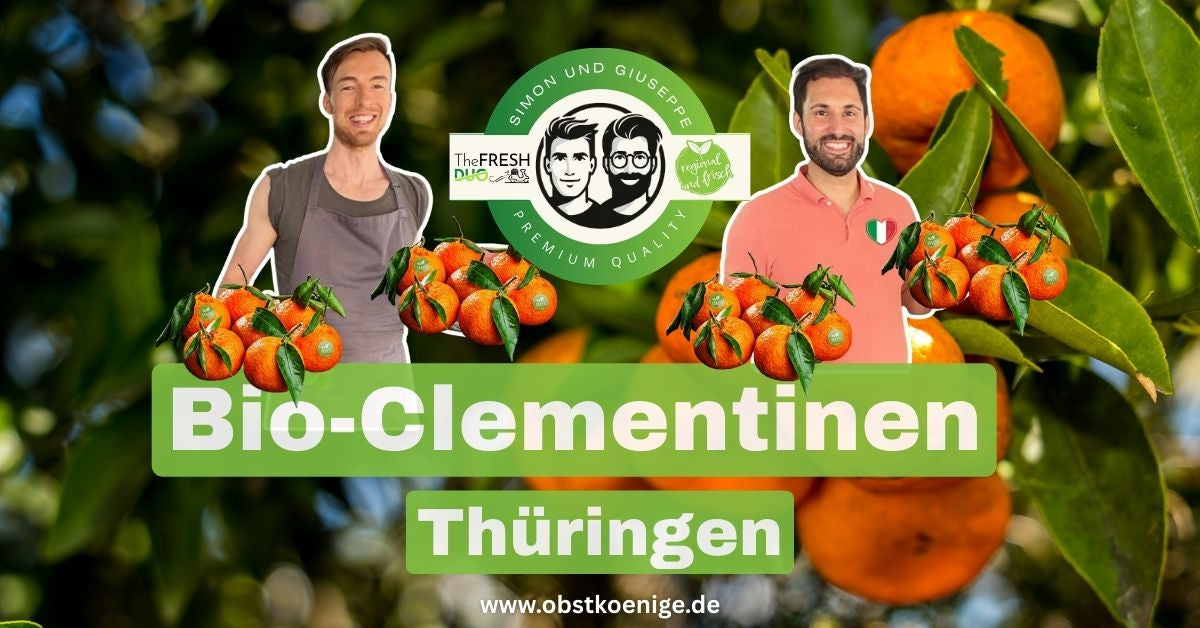 Bio-Clementinen Thüringen – frische Bio Clementinen bestellen
