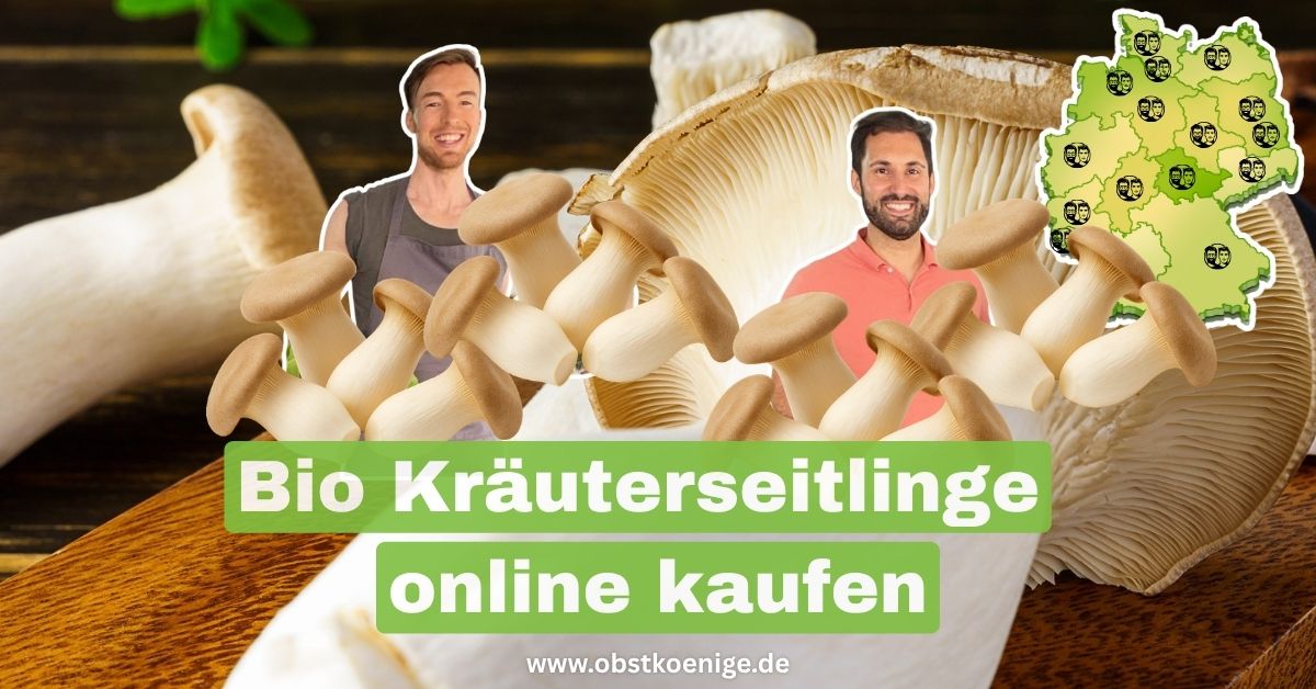 Bio Kräuterseitlinge kaufen | The Fresh Duo | Obstkönige