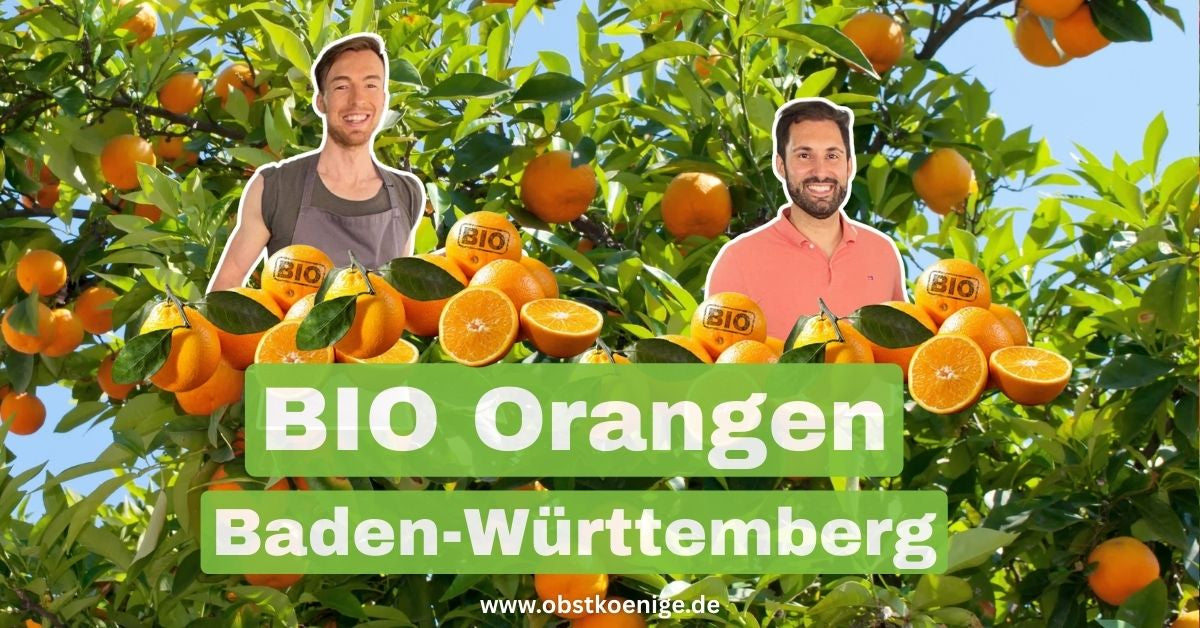 bio-orangen-baden-wuerttemberg