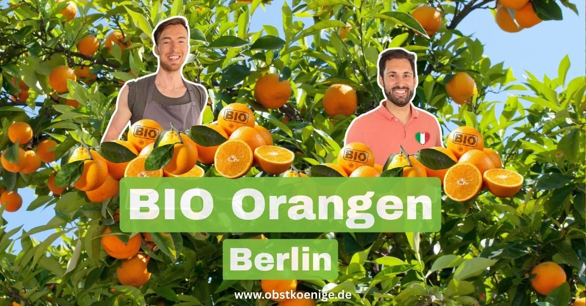 Bio-Orangen Berlin – frische Bio Orangen bestellen