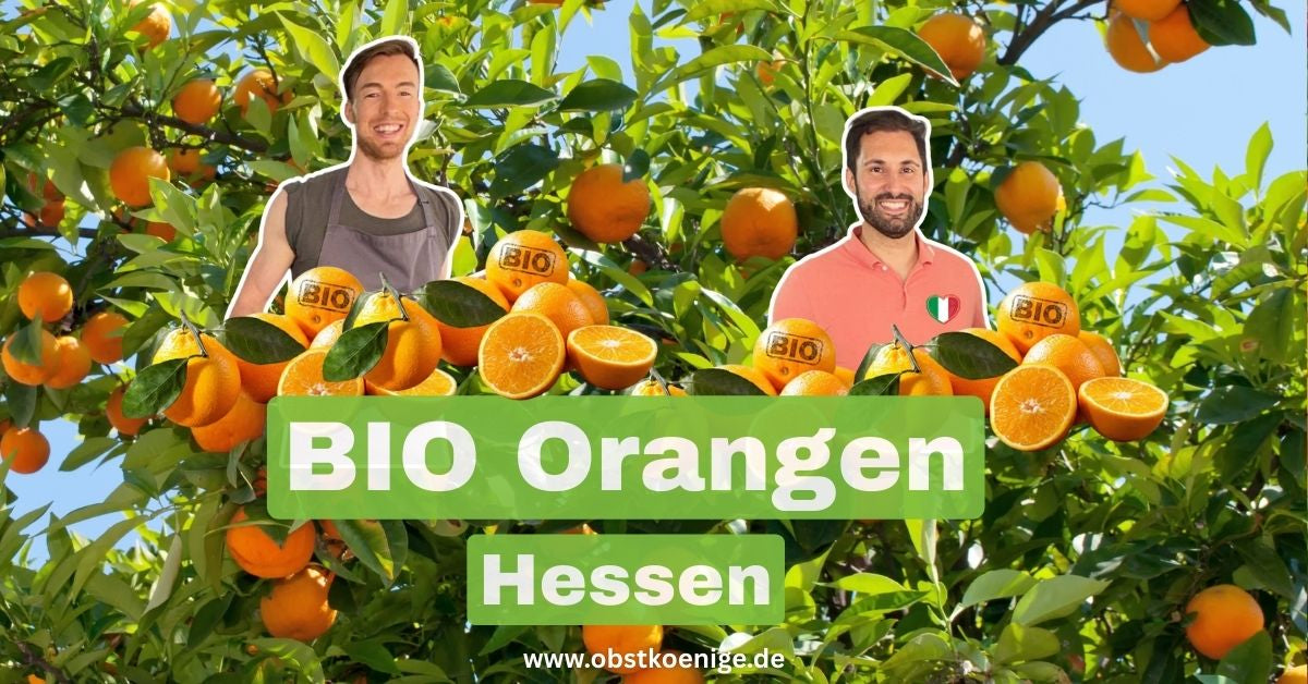 Bio-Orangen Hessen – frische Bio Orangen bestellen