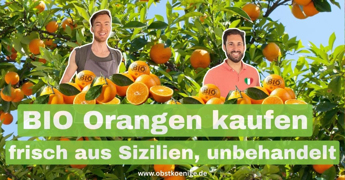 Bio-Orangen kaufen – frisch aus Sizilien, unbehandelt