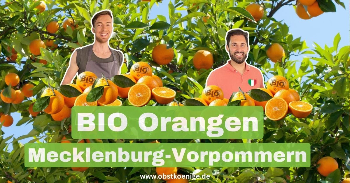 Bio-Orangen Mecklenburg-Vorpommern – frische Bio Orangen bestellen