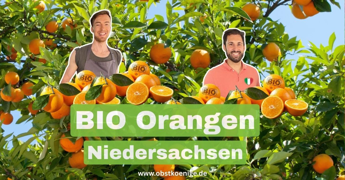 Bio-Orangen Niedersachsen – frische Bio Orangen bestellen
