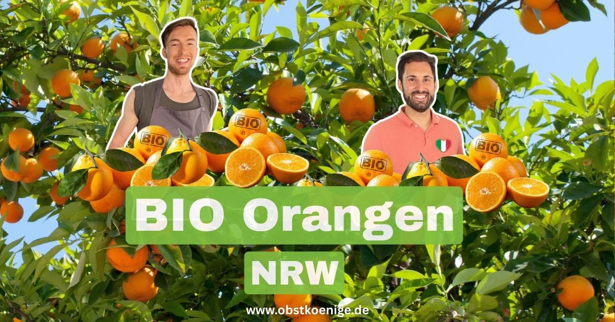 Bio-Orangen NRW – frische Bio Orangen bestellen