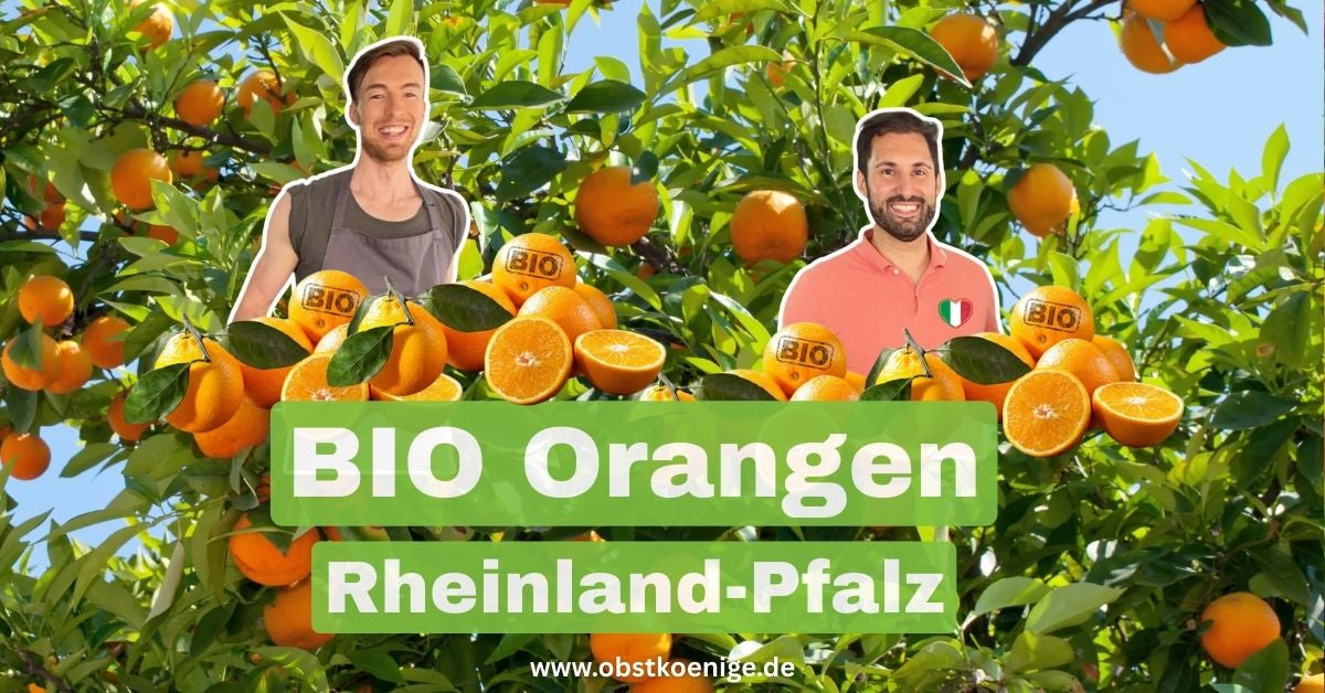 Bio-Orangen Rheinland-Pfalz – frische Bio Orangen bestellen