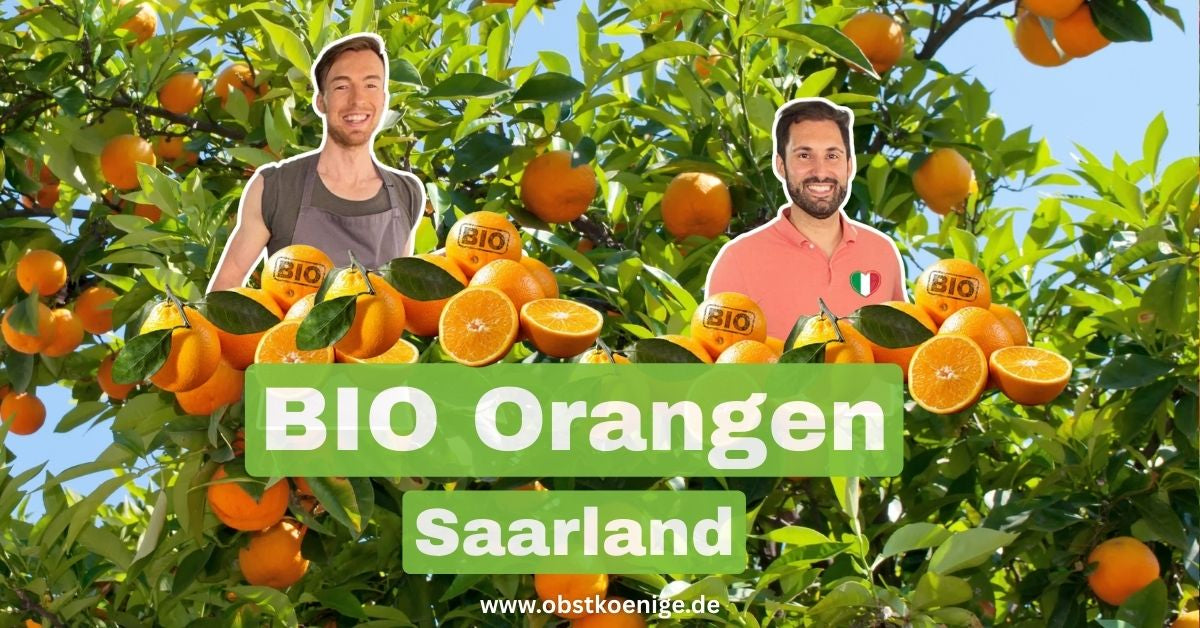 Bio-Orangen Saarland – frische Bio Orangen bestellen