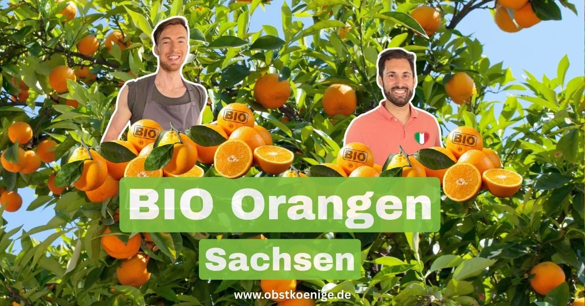 Bio-Orangen Sachsen – frische Bio Orangen bestellen