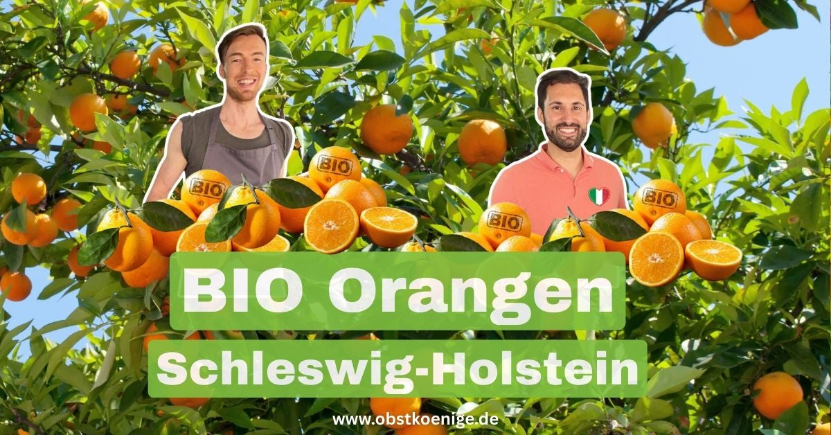 Bio-Orangen Schleswig-Holstein – frische Bio Orangen bestellen