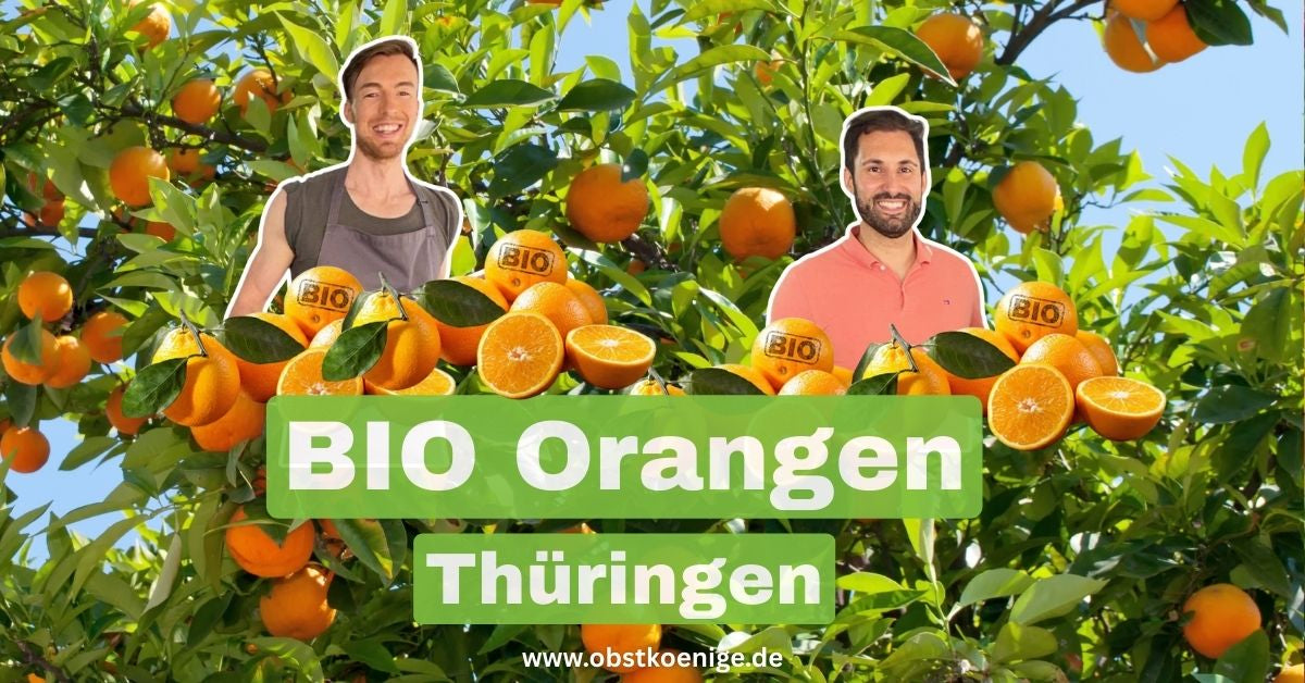 Bio-Orangen Thüringen – frische Bio Orangen bestellen