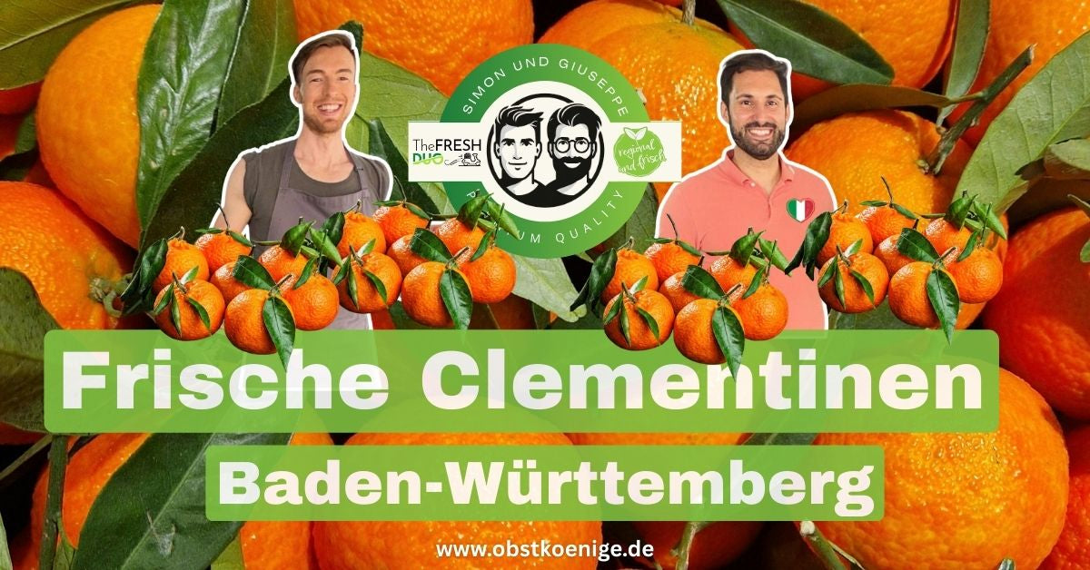 Clementinen Baden-Württemberg – frische Clementinen bestellen