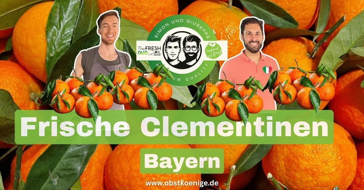 Clementinen Bayern – frische Clementinen bestellen