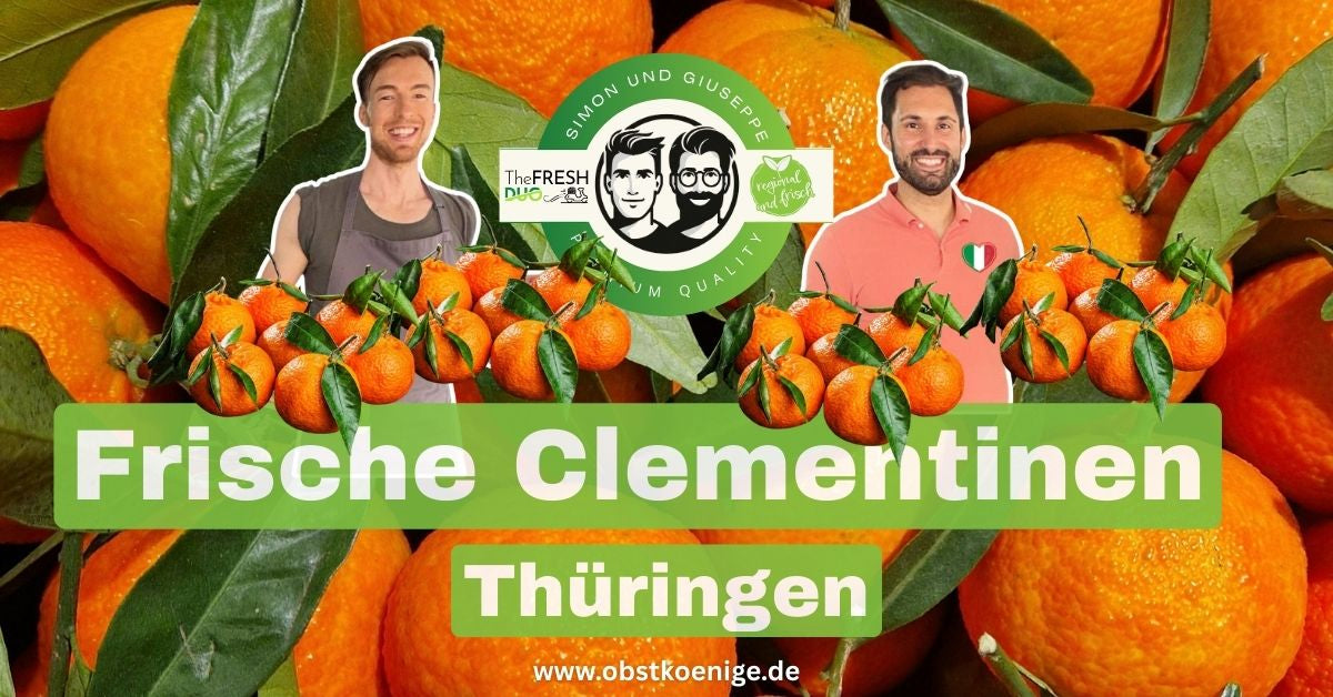 Clementinen Thüringen – frische Clementinen bestellen