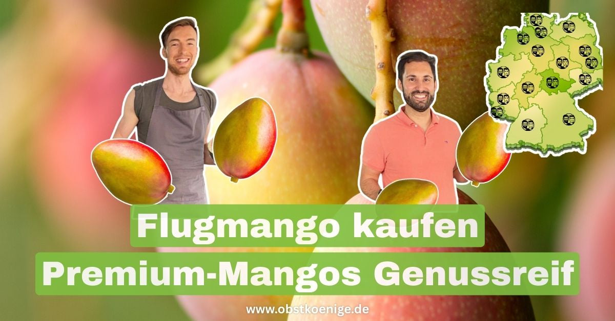 Flugmango kaufen – Premium-Mangos in echter Genussreife
