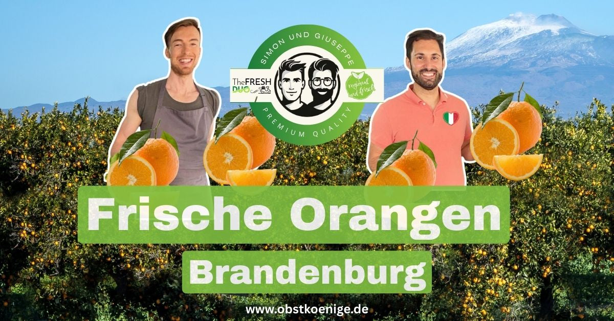 Orangen Brandenburg – frische Orangen bestellen