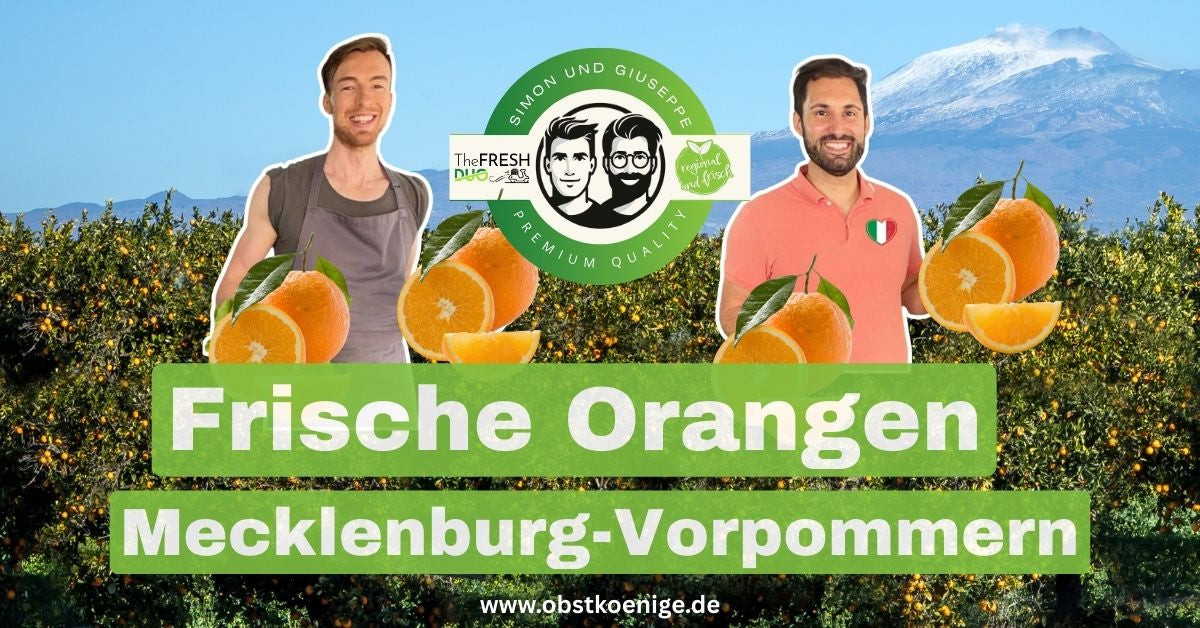 Orangen Mecklenburg-Vorpommern – frische Orangen bestellen