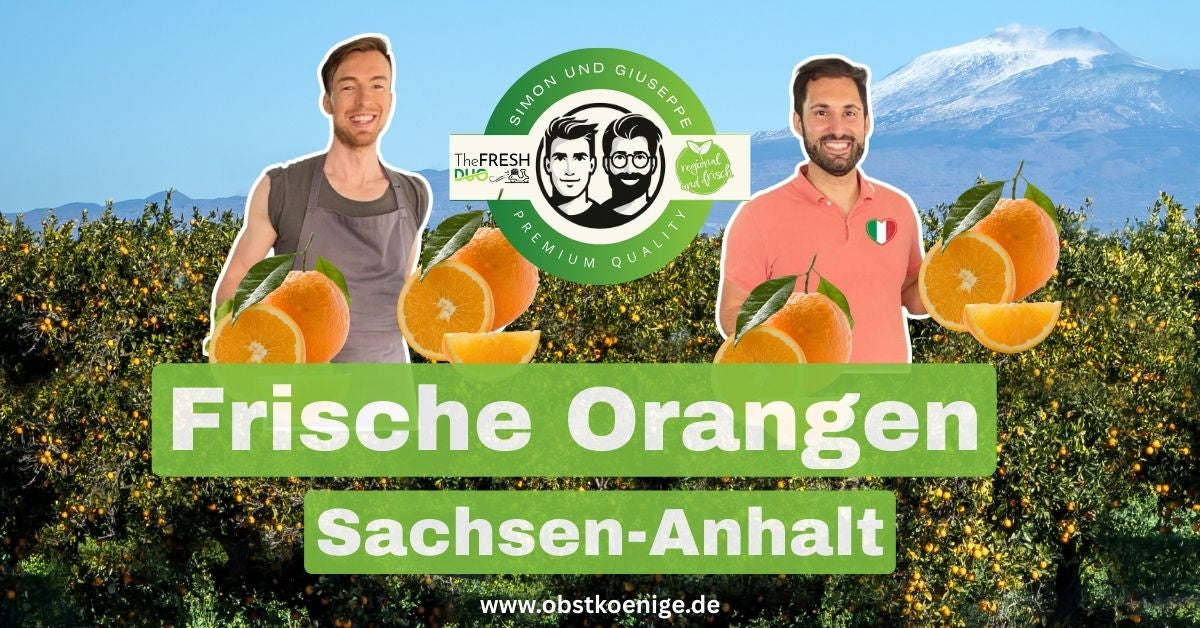 Orangen Sachsen-Anhalt – frische Orangen bestellen